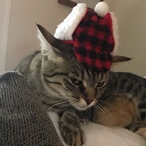 Meet your Posher, Christine